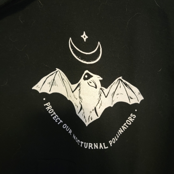 🔥 Wholesome Culture Nocturnal Pollinators Hoodie - Picture 4 of 6